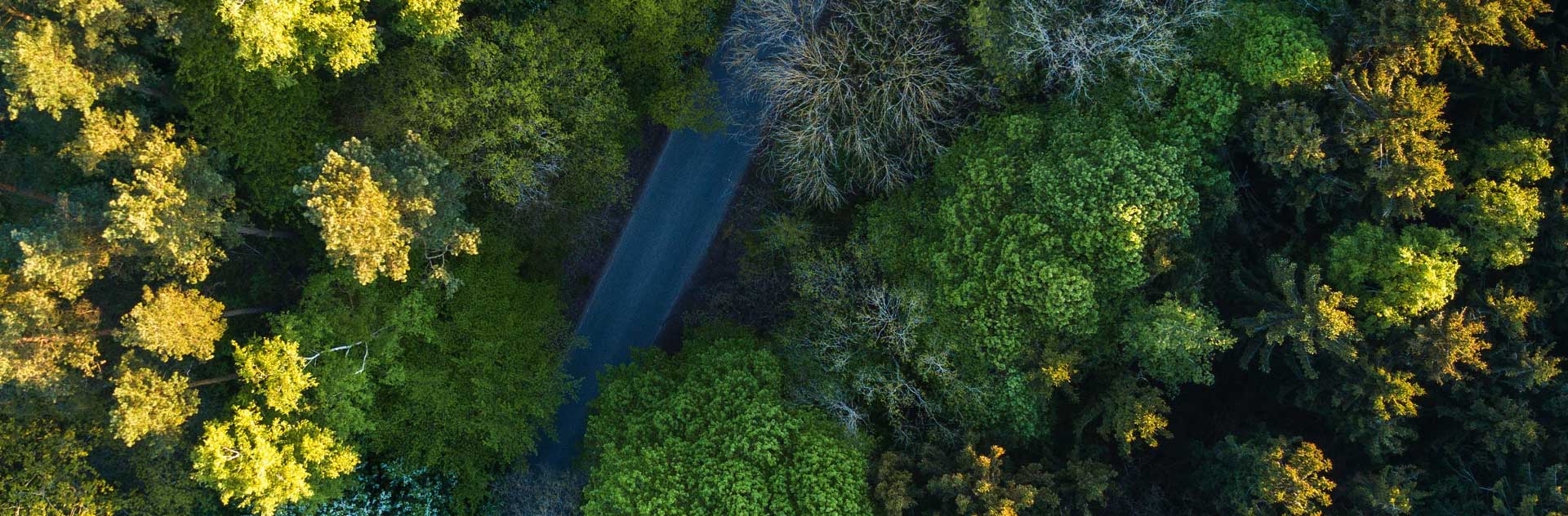 97国际-至尊品牌,源于诺言