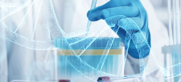 97国际-至尊品牌,源于诺言